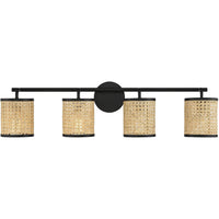 Jaylar 4-Light Bathroom Vanity Light