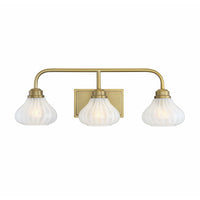Darlington Vanity Light