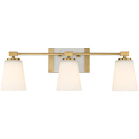 Darby 3-Light Bathroom Vanity Light