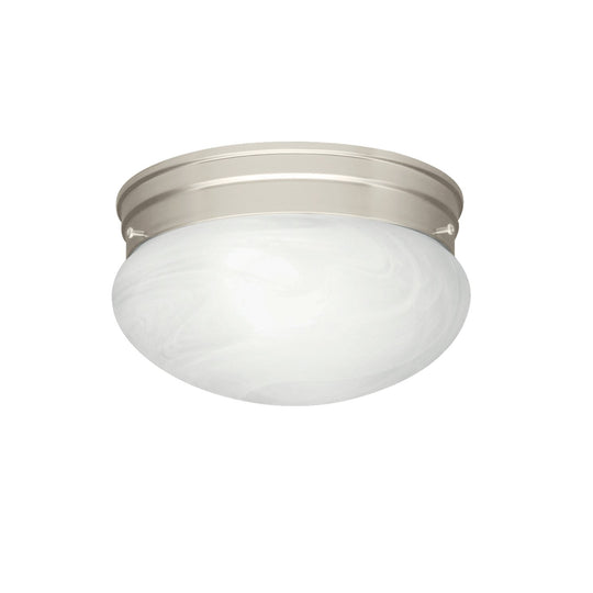 Ceiling Space Flush Mount