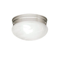 Ceiling Space Flush Mount