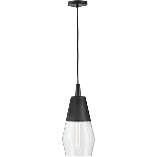 Livie 1-Light Convertible Mini Pendant