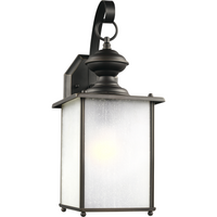 Jamestowne 1-Light Outdoor Wall Light