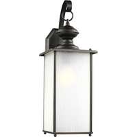 Jamestowne 1-Light Outdoor Wall Light (with Bulb)
