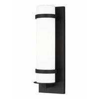 Alban Small 1-Light Outdoor Wall Light