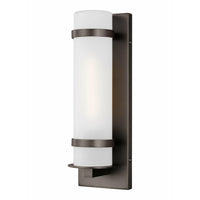 Alban Small 1-Light Outdoor Wall Light
