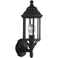 Sevier Outdoor Wall Light