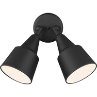Flood Light Outdoor Wall Light