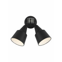 Flood Light 2-Light Outdoor Wall Light with Photo and Motion Sensor (with Bulbs)