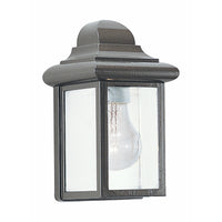 Mullberry Hill Outdoor Wall Light