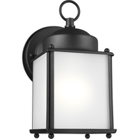 New Castle 1-Light Outdoor Wall Light