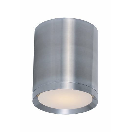 Lightray LED 1-Light Outdoor Ceiling Light