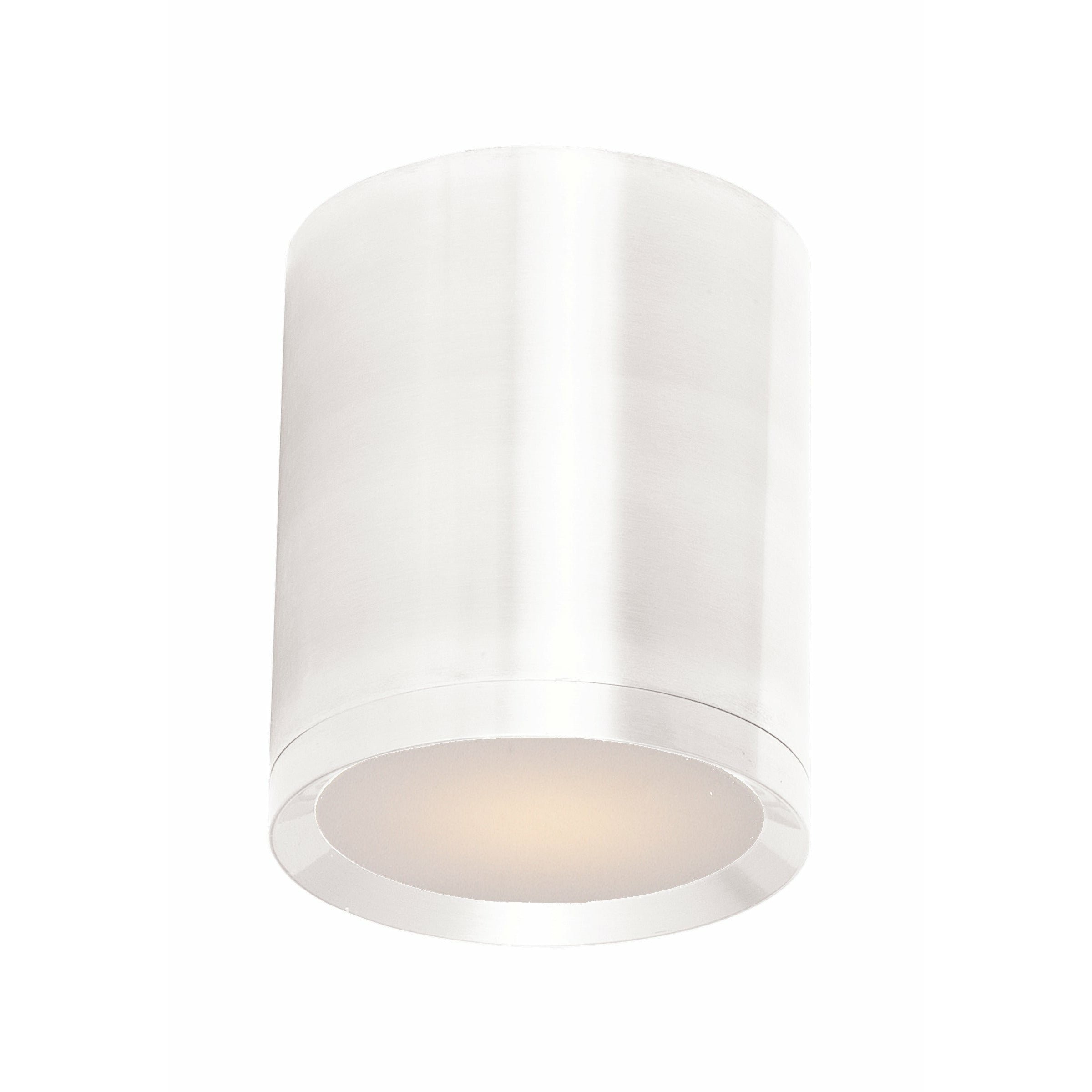 Lightray LED 1-Light Outdoor Ceiling Light