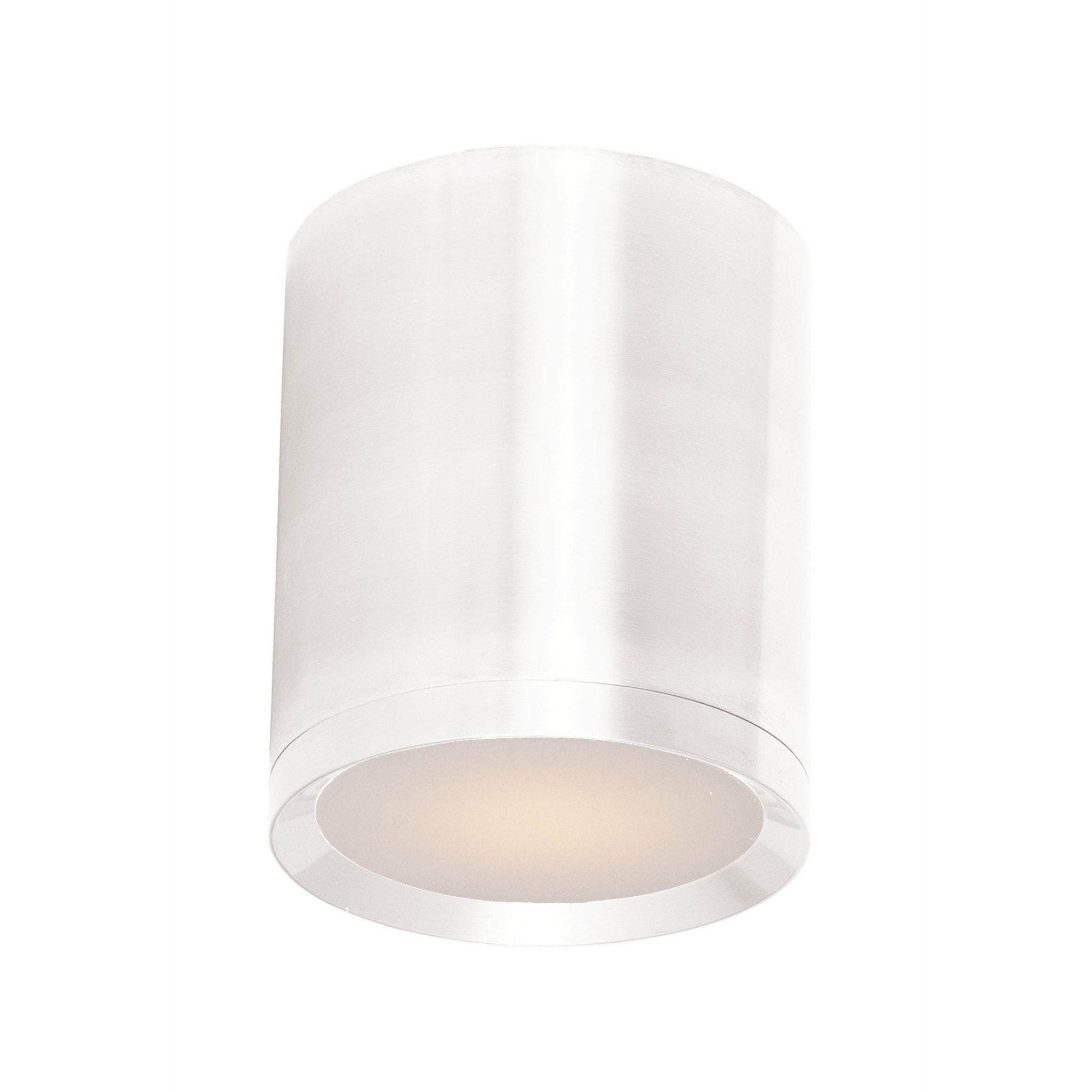 Lightray LED 1-Light Outdoor Ceiling Light