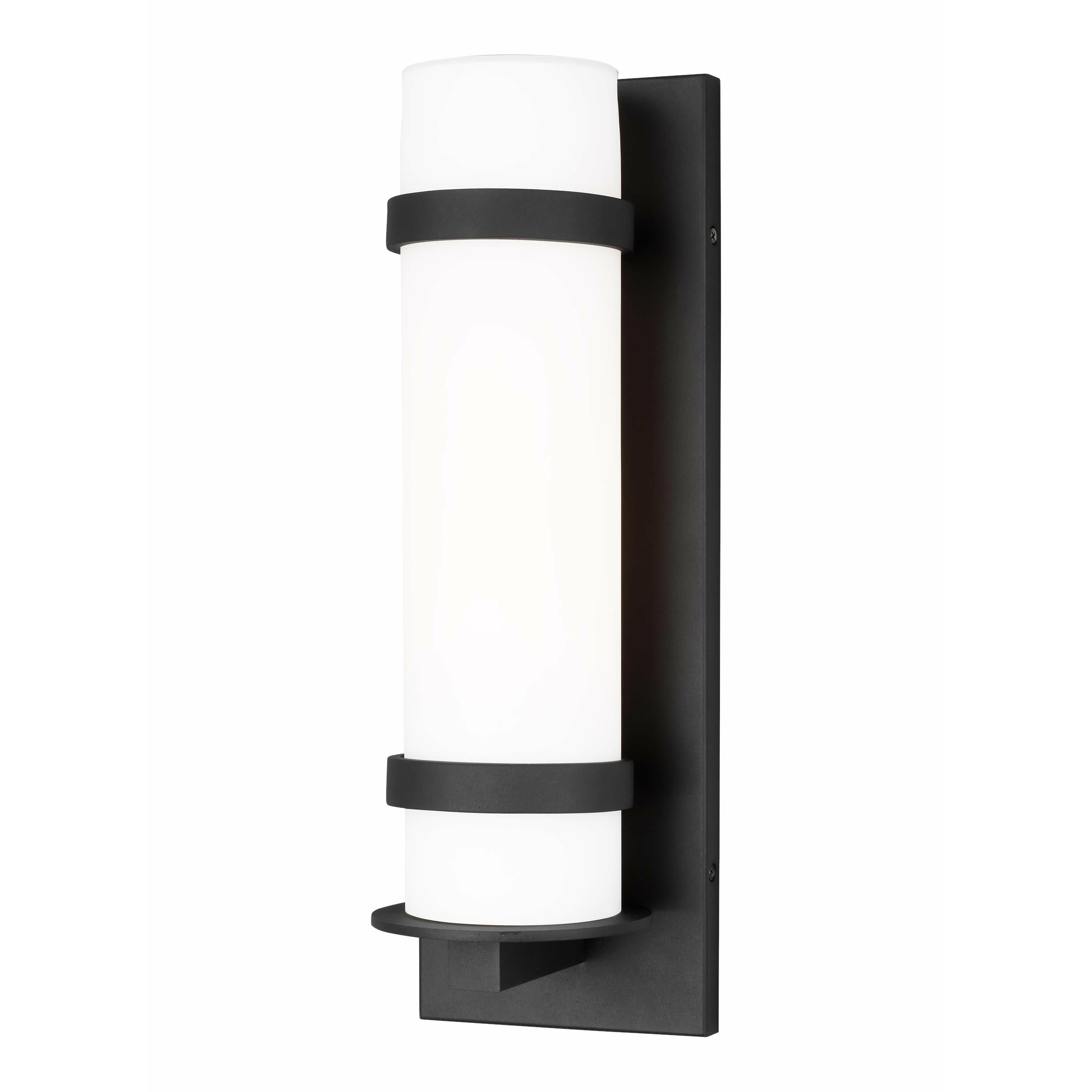 Alban Medium 1-Light Outdoor Wall Light