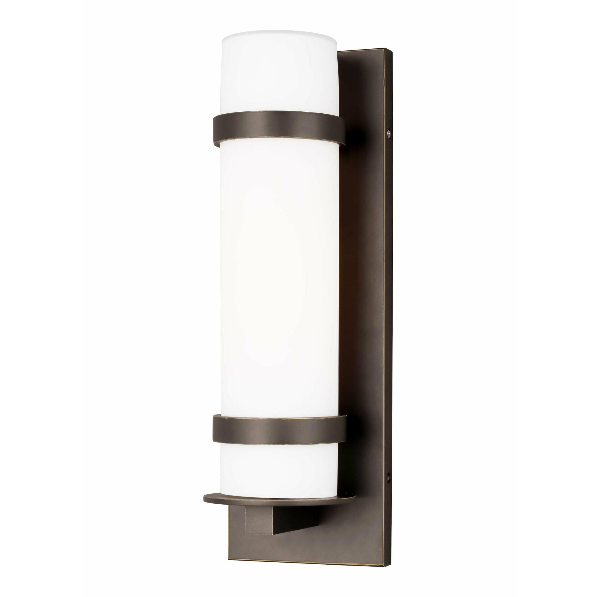 Alban Medium 1-Light Outdoor Wall Light