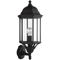 Sevier Outdoor Wall Light
