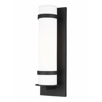 Alban Large 1-Light Outdoor Wall Light (with Bulb)