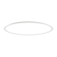 Low Profile EE Flush Mount