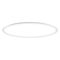 Low Profile EE Flush Mount