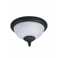 Yorktown Outdoor Ceiling Light