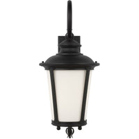 Cape May Outdoor Wall Light