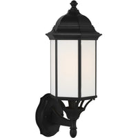 Sevier Outdoor Wall Light