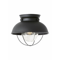 Sebring 1-Light Outdoor Ceiling Light (with Bulb)