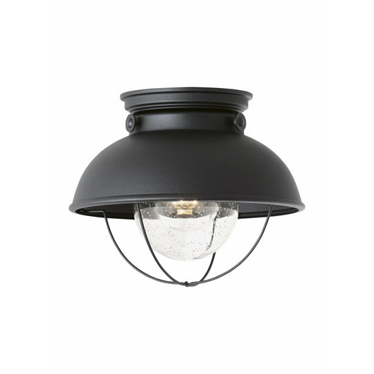 Sebring 1-Light Outdoor Ceiling Light (with Bulb)