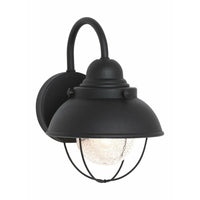 Sebring Small 1-Light Outdoor Wall Light (with Bulb)