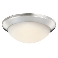 Ceiling Space Flush Mount
