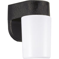 Outdoor Wall Light