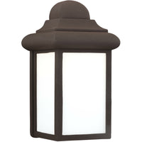 Mullberry Hill Outdoor Wall Light