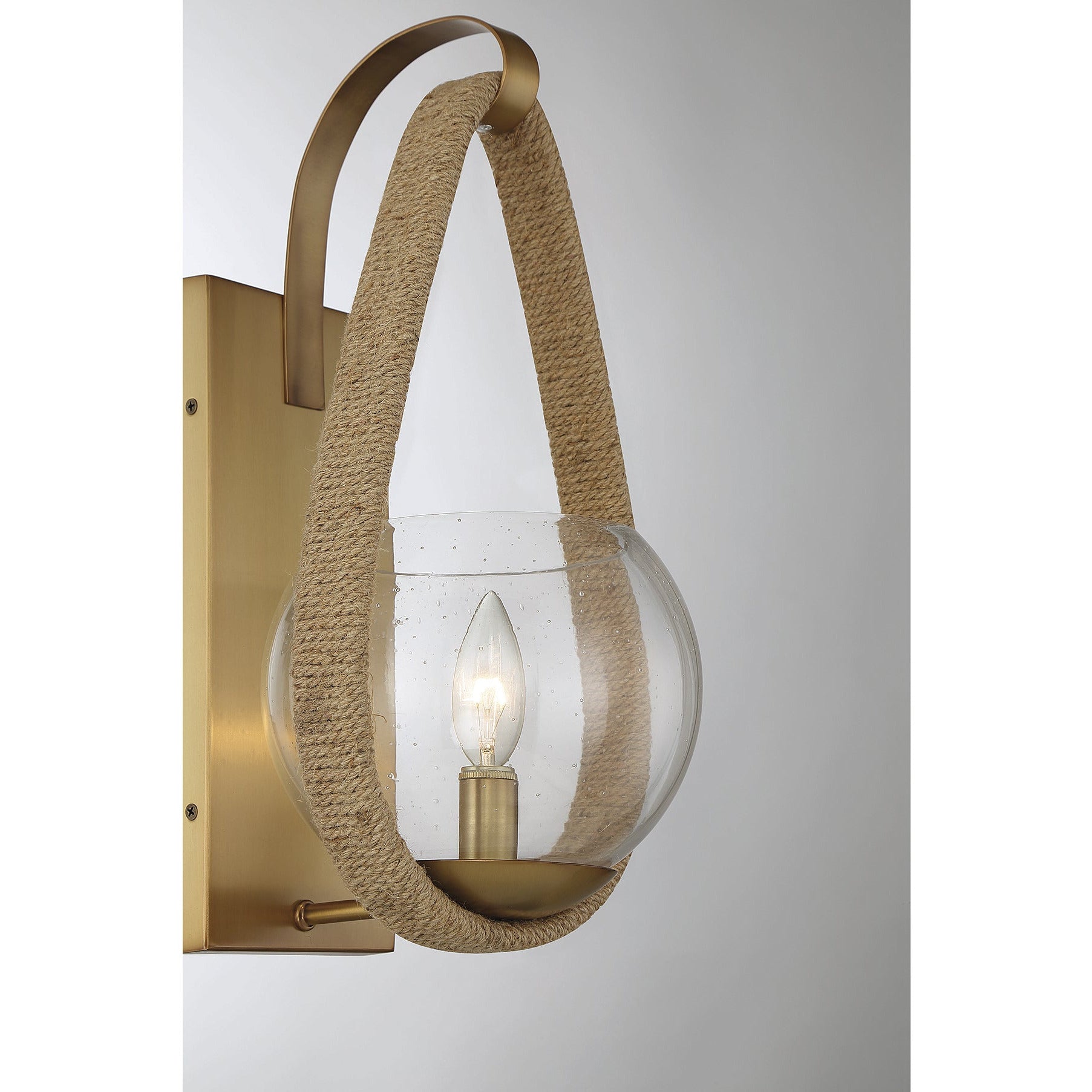 Ashe 1-Light Wall Sconce