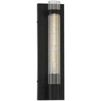 Willmar 1-Light Wall Sconce