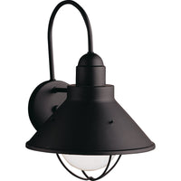 Seaside Large Outdoor Wall Light