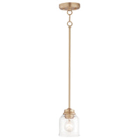 Acadia 1-Light Pendant