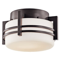 Pacific Edge Outdoor Ceiling Light
