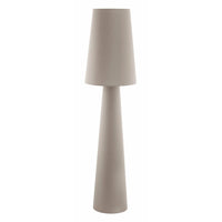 Carpara Floor Lamp