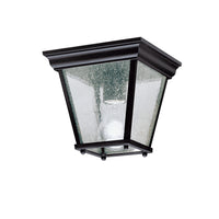 Outdoor Ceiling Light