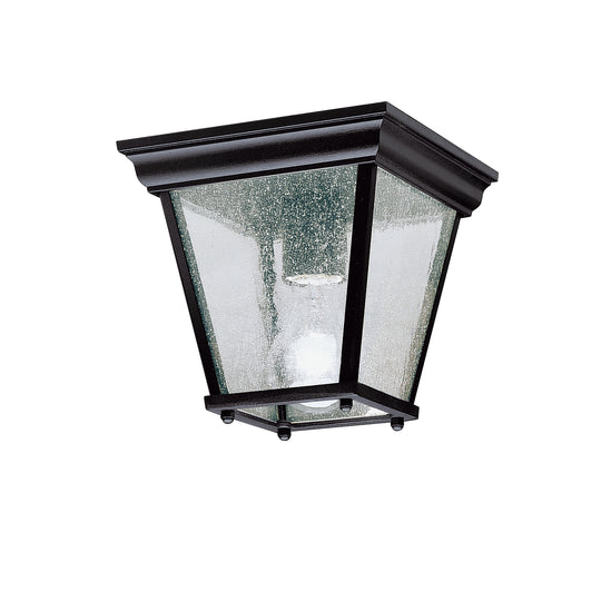 Outdoor Ceiling Light