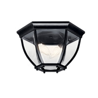 Outdoor Ceiling Light