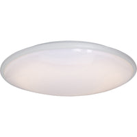 Rim Plus EE Flush Mount