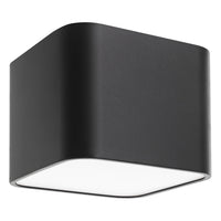 Grimasola 1-Light Flush Mount