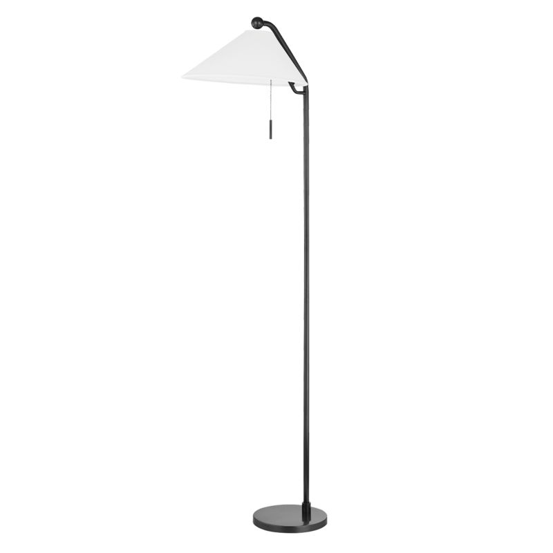 Aisa 1-Light Floor Lamp