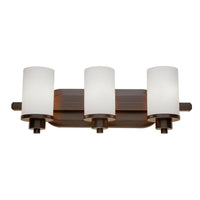 Parkdale Vanity Light