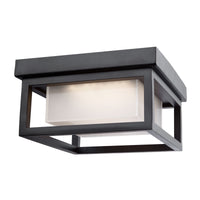 Overbrook Outdoor Ceiling Light