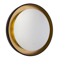 Reflections Lighted Mirror