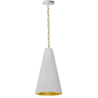 Anaya 1 Light 12 Inch Pendant