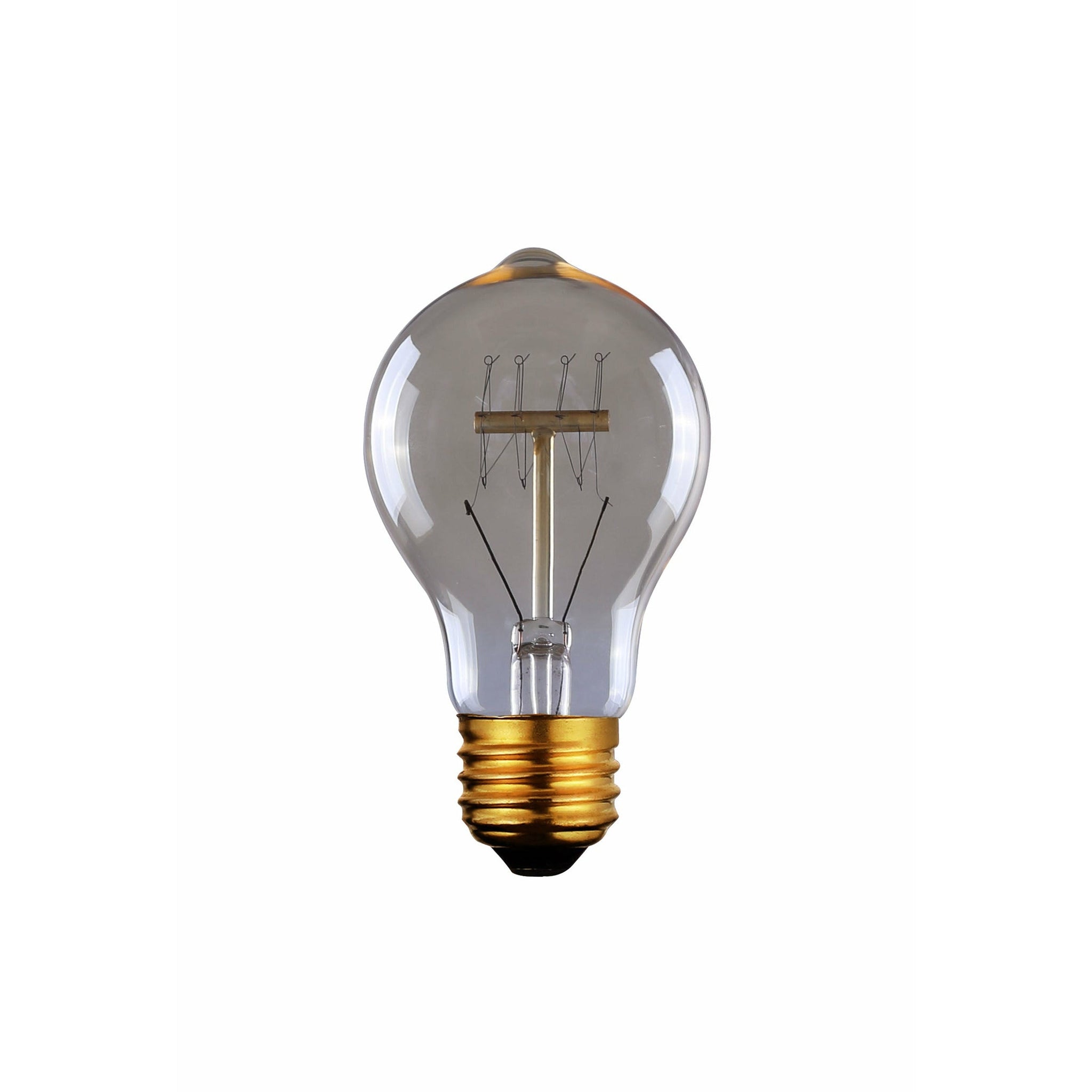 Canarm Edison Bulb